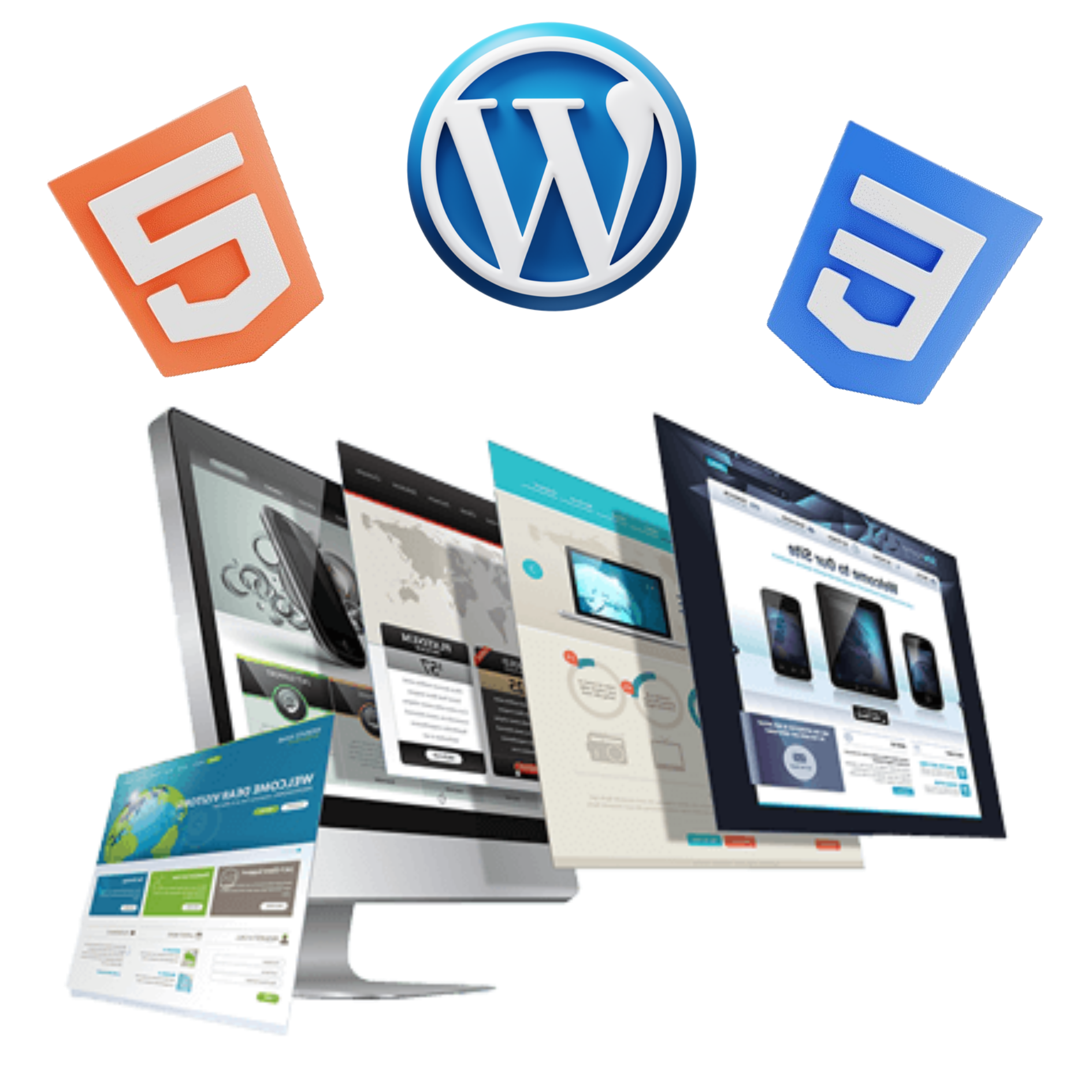 Website Design Showcase